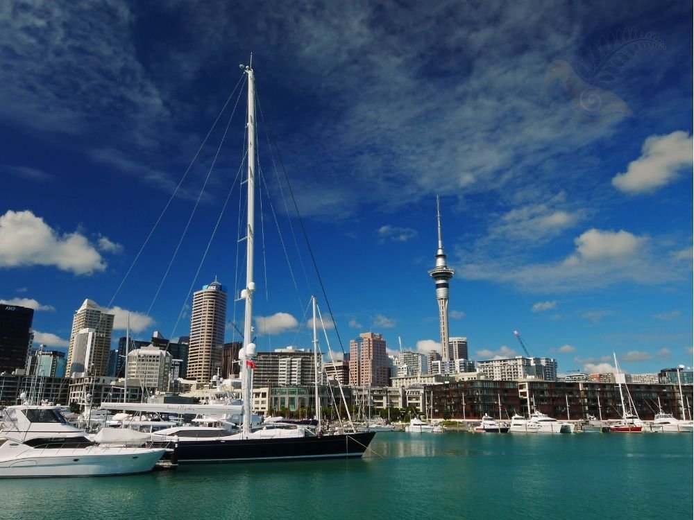 Auckland harbour private sailing
