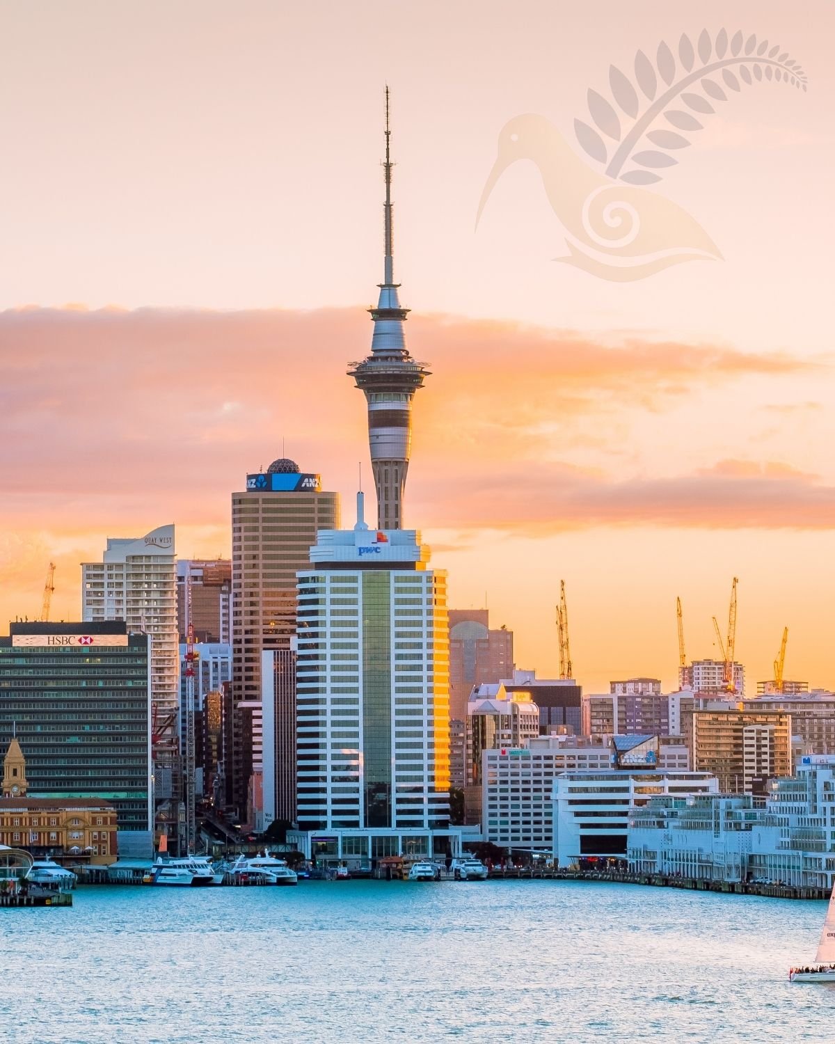 Auckland skyline and harbour