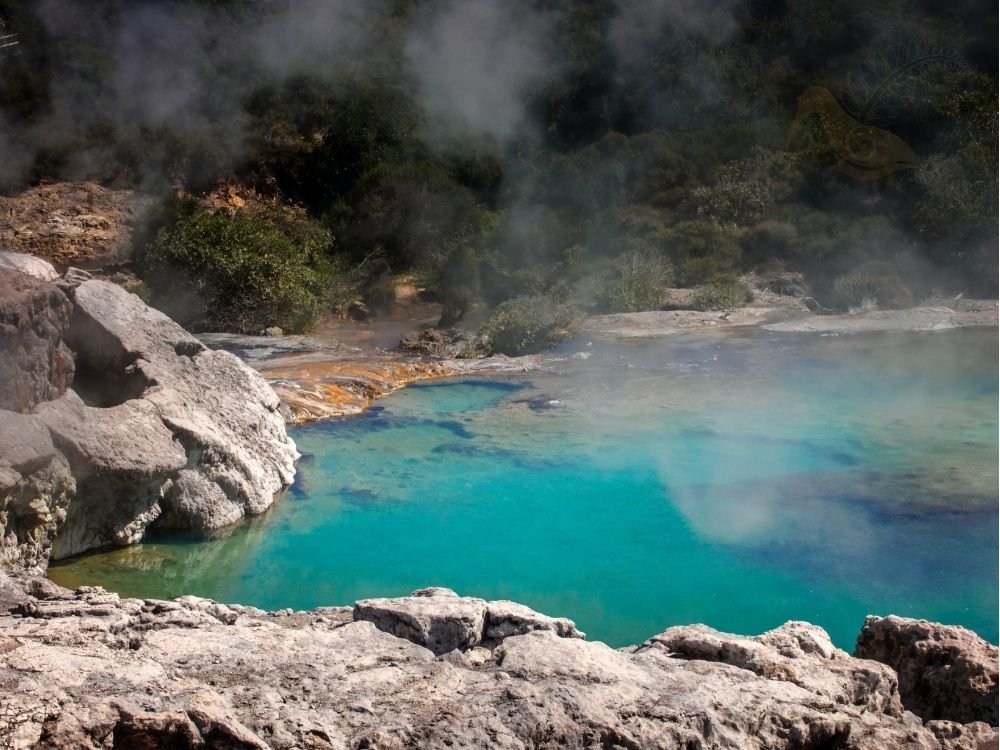Rotorua geothermal steam and landscape