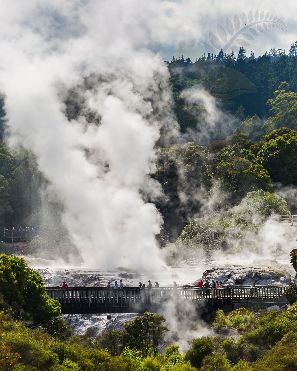 Rotorua geothermal pools