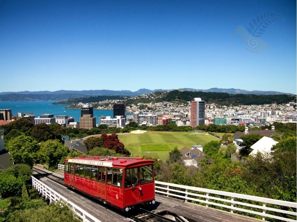 Wellington Cuba Street and waterfront dining