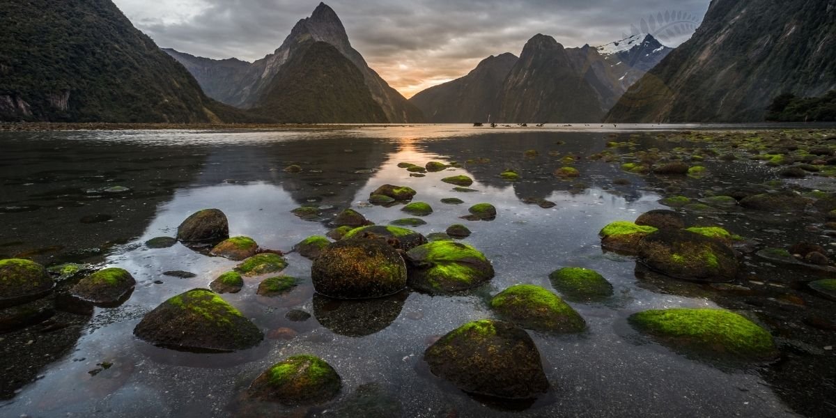 New Zealand from above
