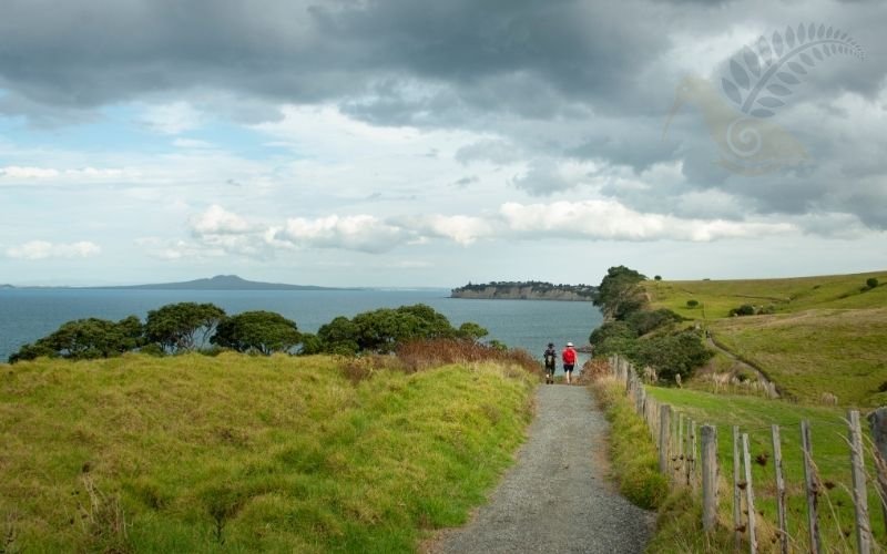 Rangitoto volcanic island Auckland