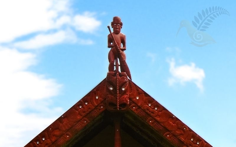 Waitangi Treaty Grounds cultural tour