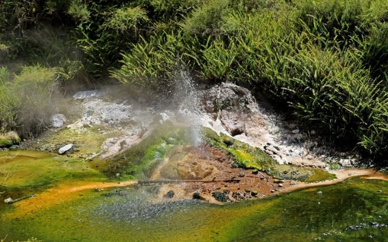 Waimangu Volcanic Valley geothermal